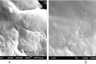 Nâng giá trị cho cao su